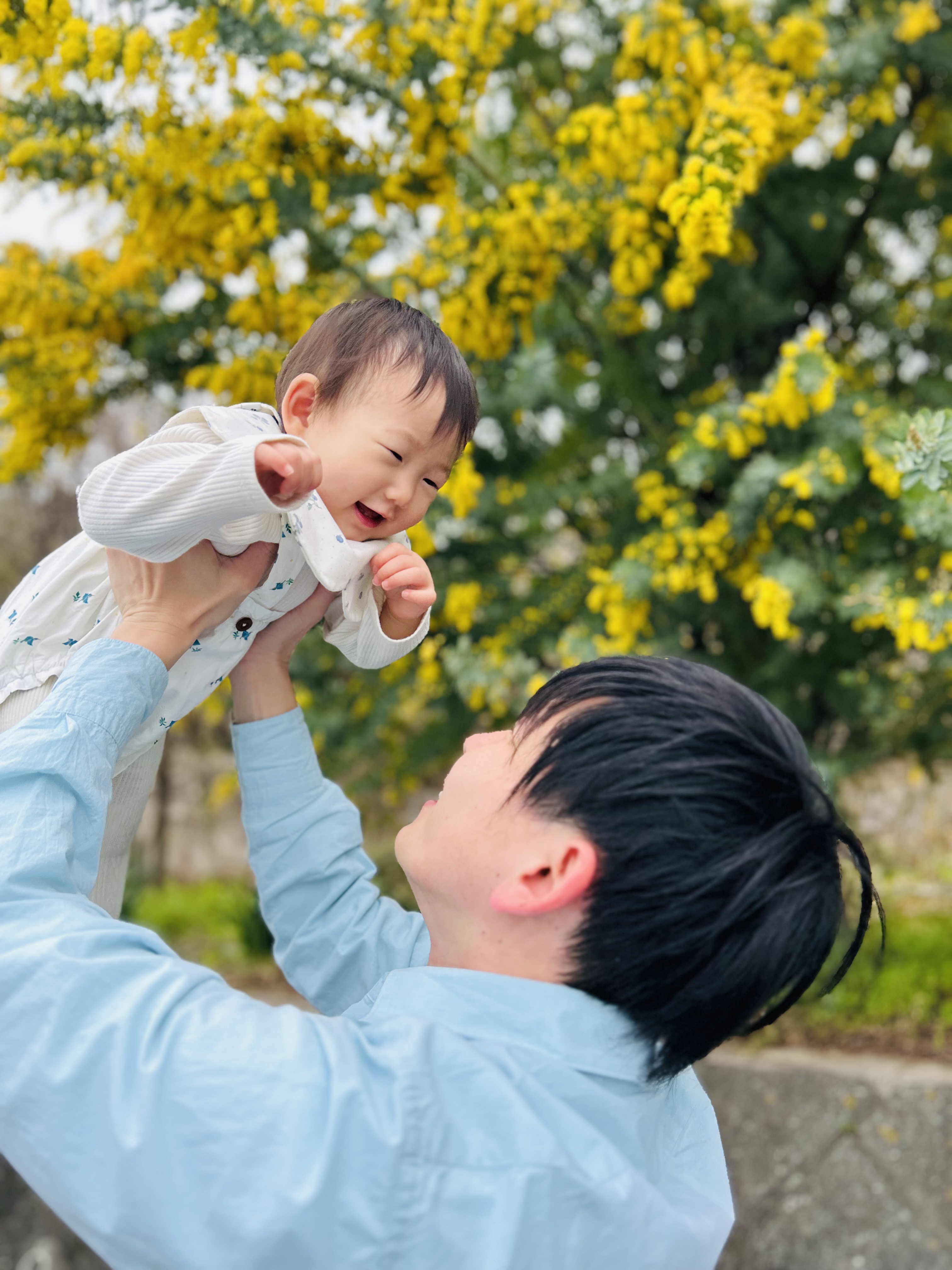 黄色い花の下で、子どもを抱き上げる吉村だいき